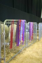 2015_Easter_Show_032.JPG