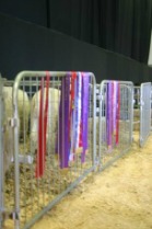 2015_Easter_Show_032.JPG