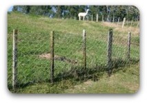 SheepFence.jpg