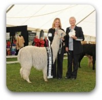 Walkinshaw_Alpaca_Expo_2012_-_pic_b.jpg